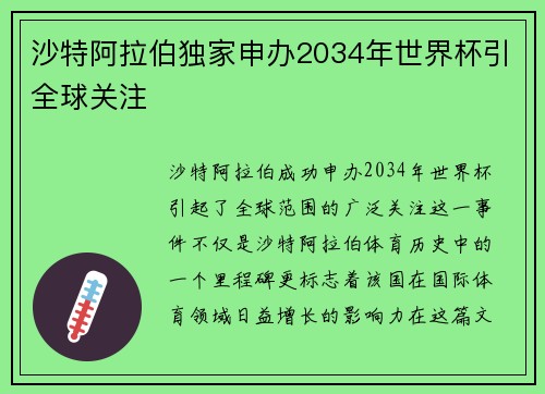 沙特阿拉伯独家申办2034年世界杯引全球关注 沙特阿拉伯独家申办2034年世界杯引全球关注